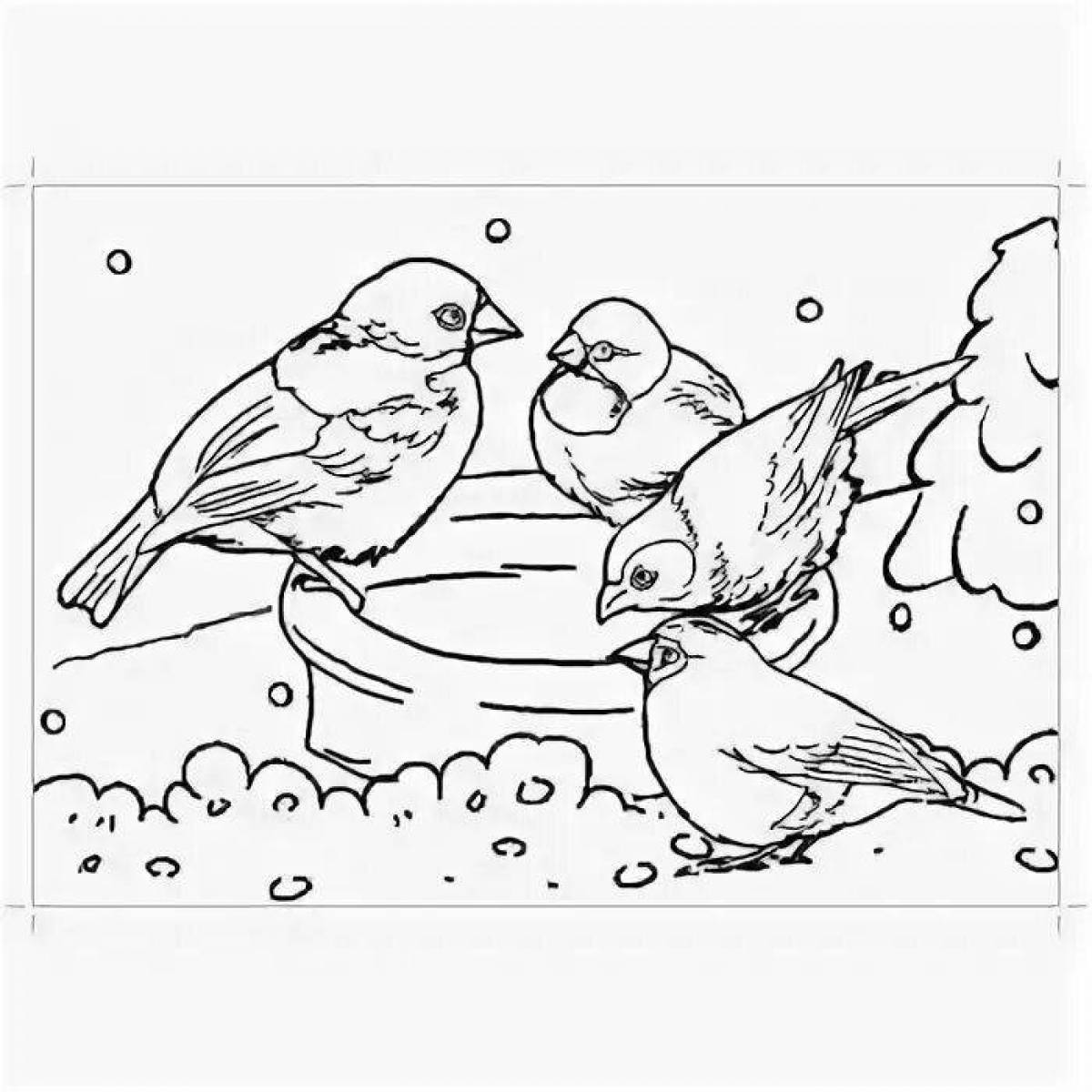 Sparrow coloring book for children 6-7 years old
