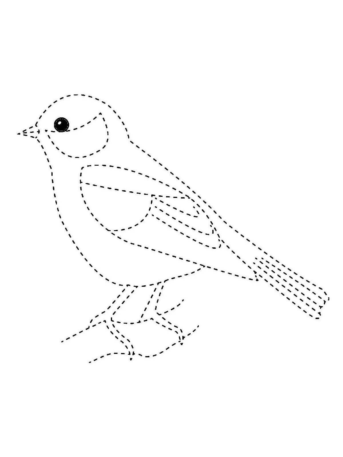 Coloring book happy sparrow for children 6-7 years old