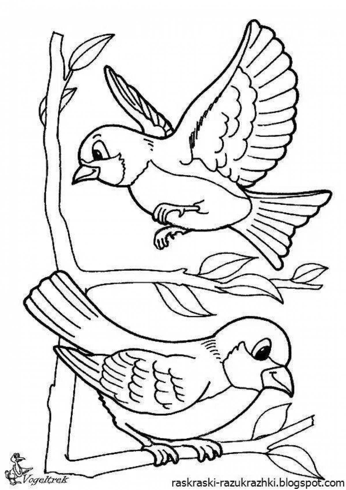 Colouring bright sparrow for children 6-7 years old