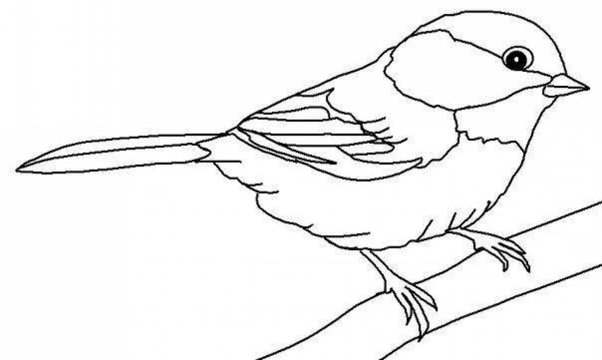 Innovative sparrow coloring book for 6-7 year olds