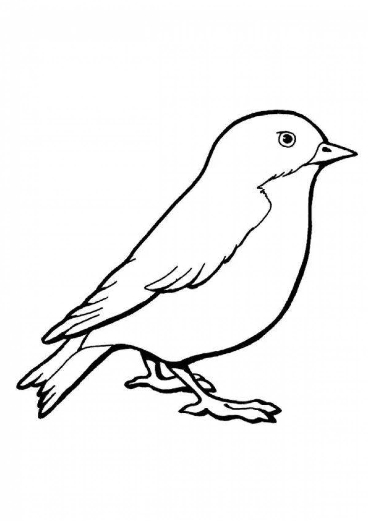 Glowing sparrow coloring book for kids 6-7 years old