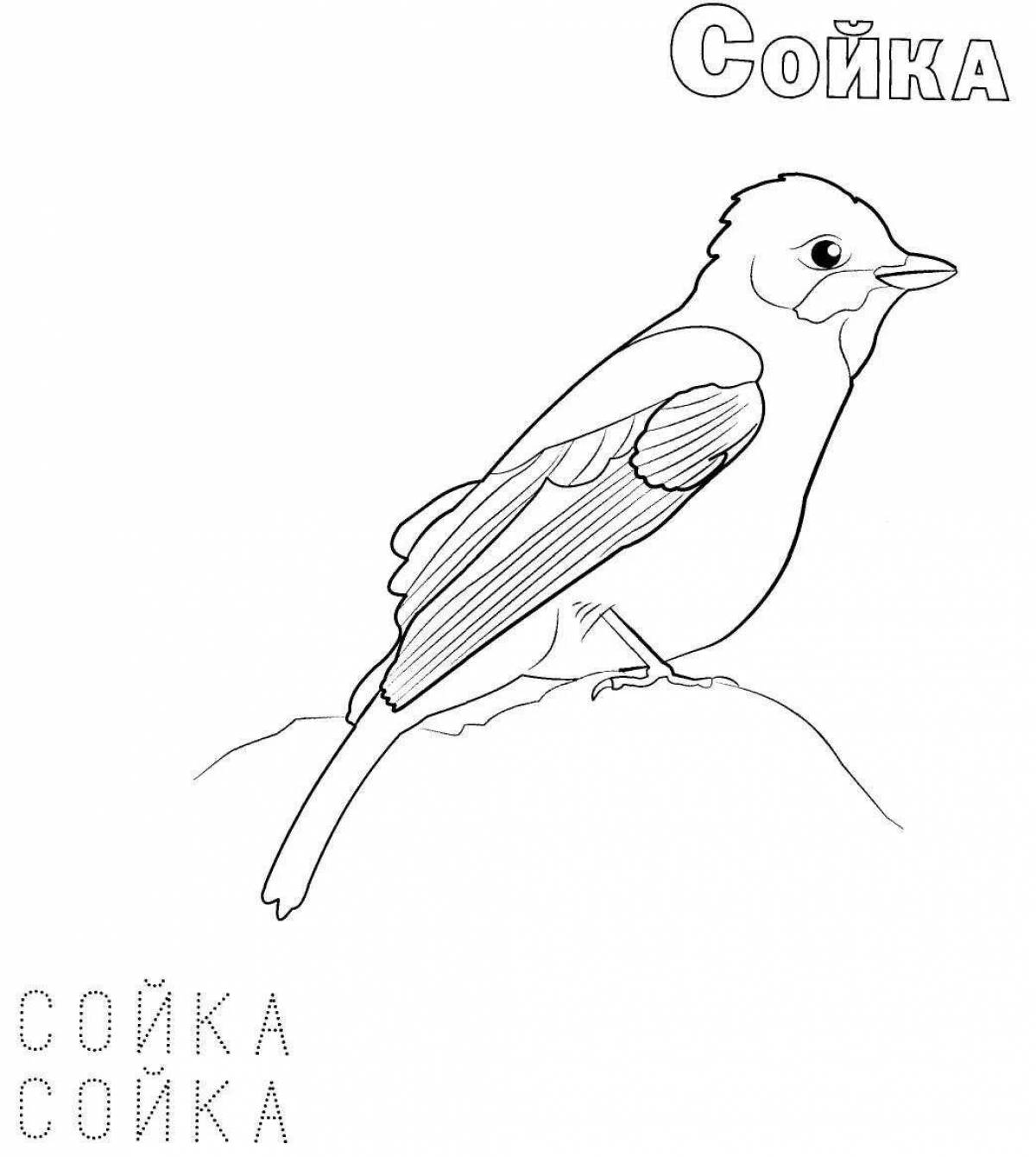Wonderful wintering birds coloring pages for kids
