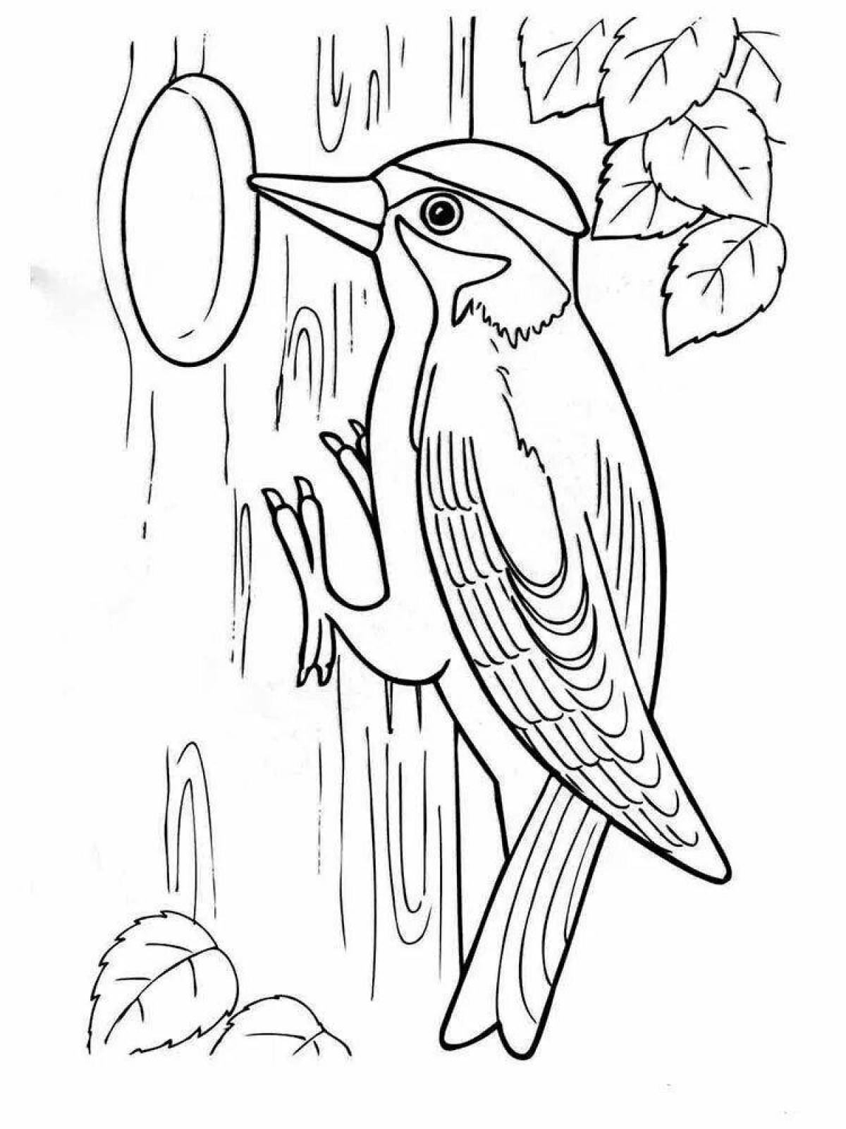Gorgeous coloring pages of wintering birds for kids