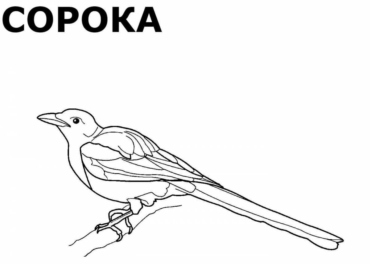 Sparkly wintering birds coloring pages for preschoolers