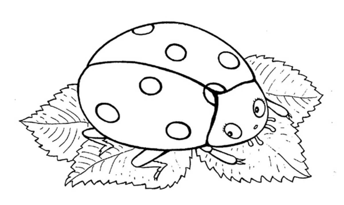 Cute insect coloring book for 4-5 year olds