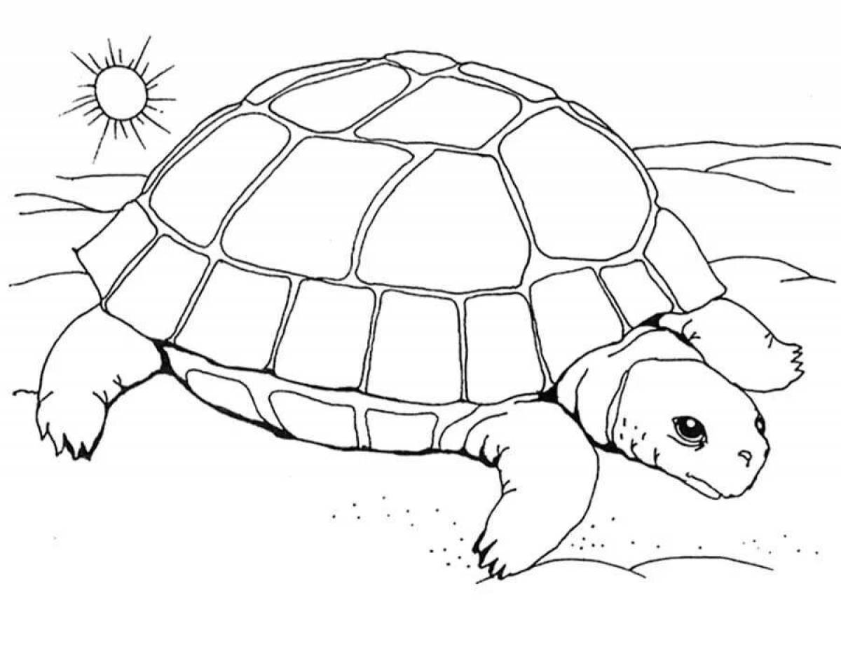 Playful turtle coloring book for 3-4 year olds