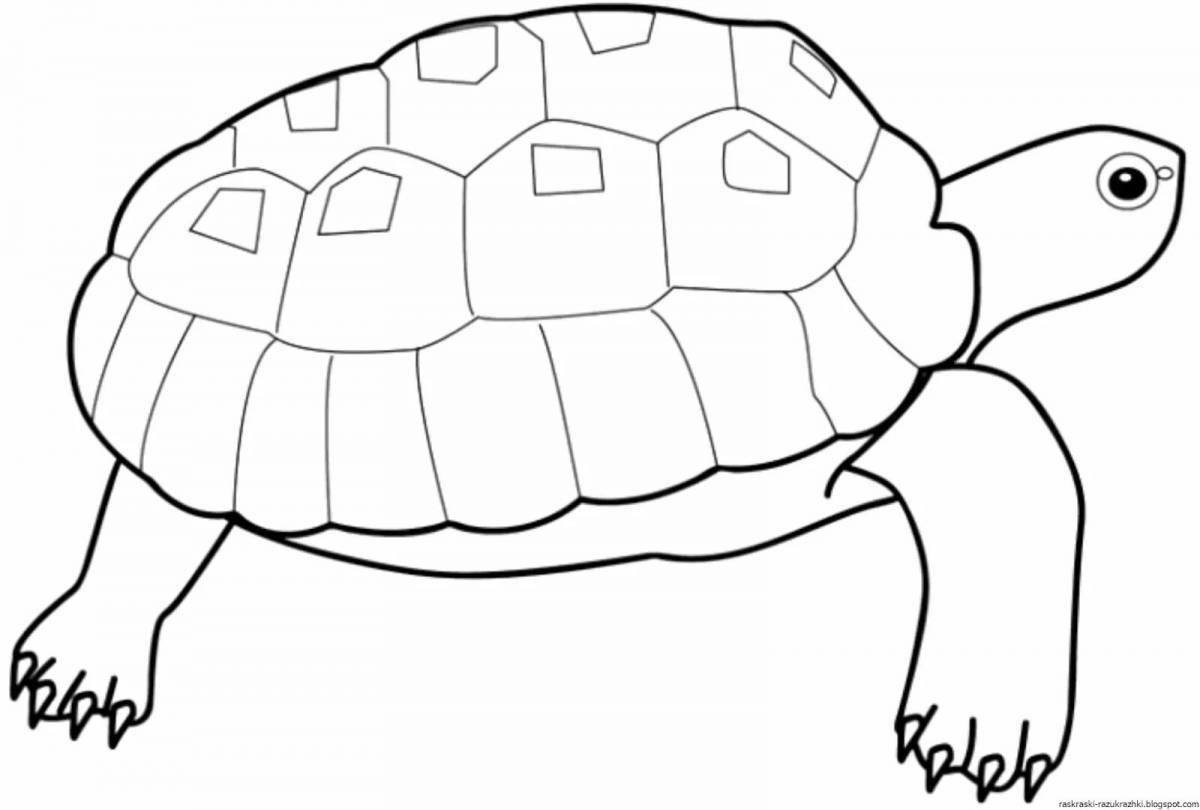 Восхитительная раскраска черепахи для детей 3-4 лет