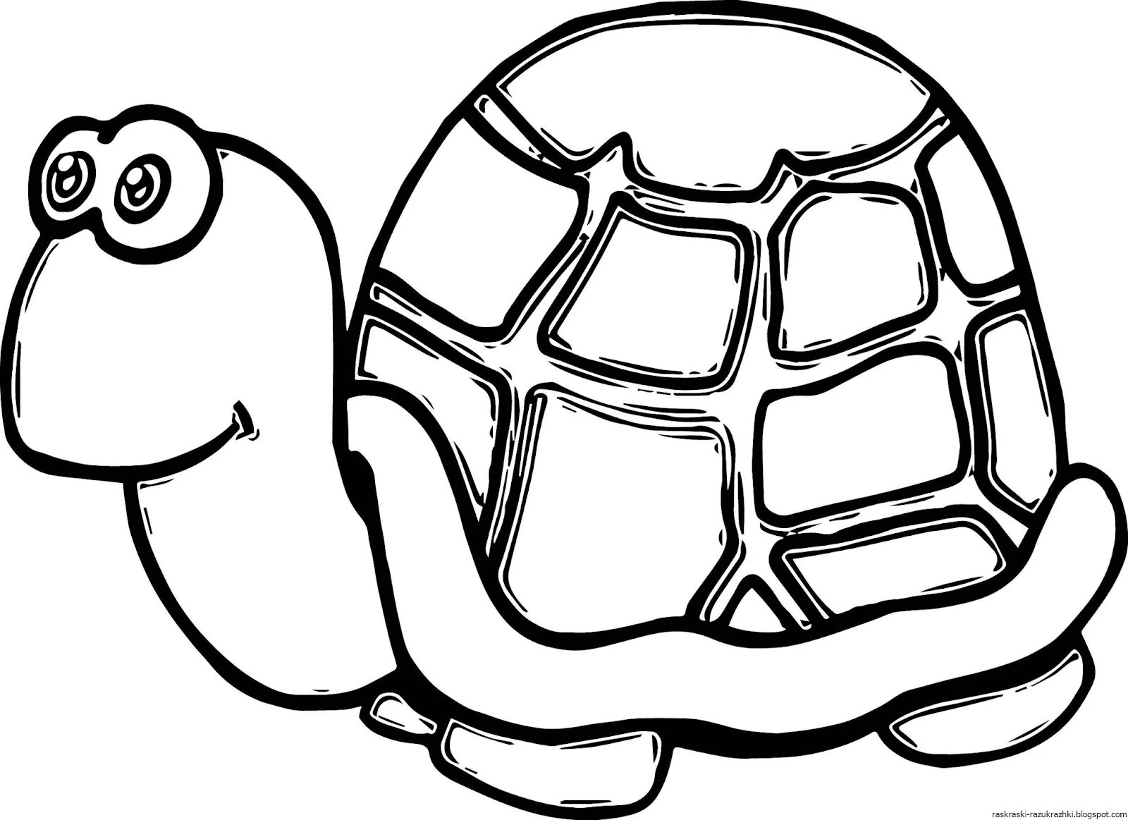 Забавная раскраска черепахи для детей 3-4 лет