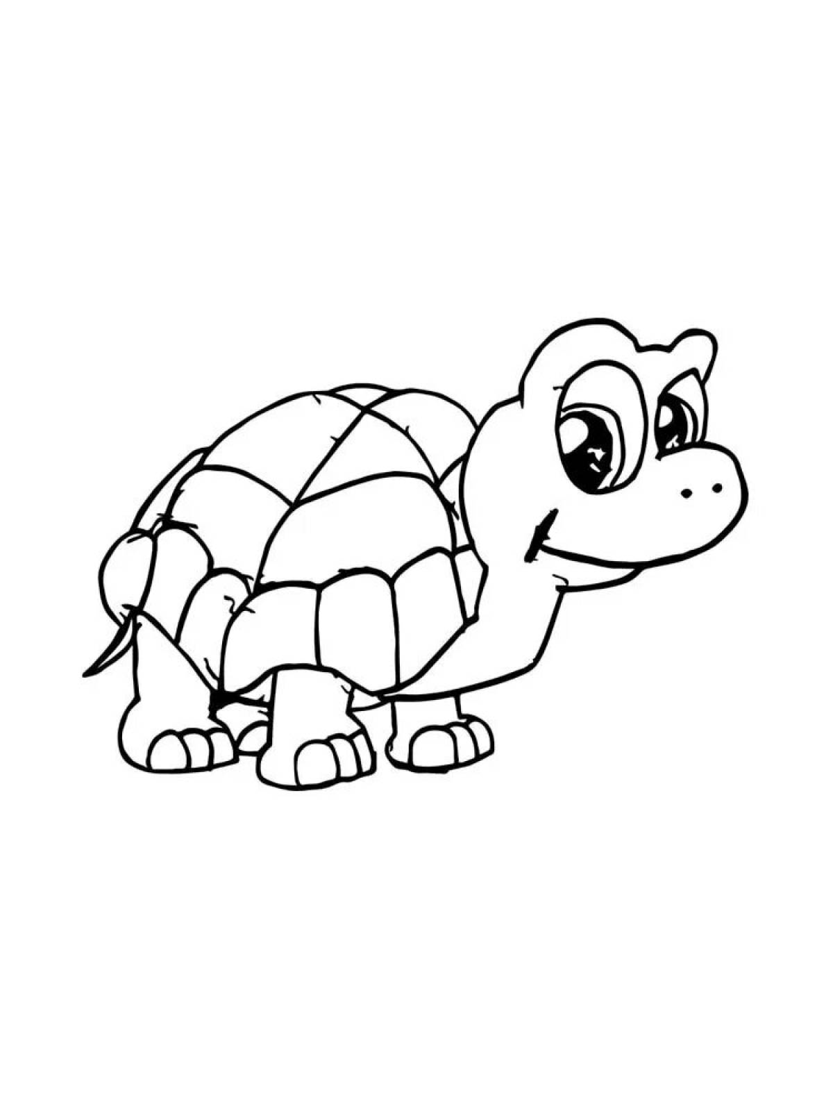 For kids tortoise 3 4 yrs #3