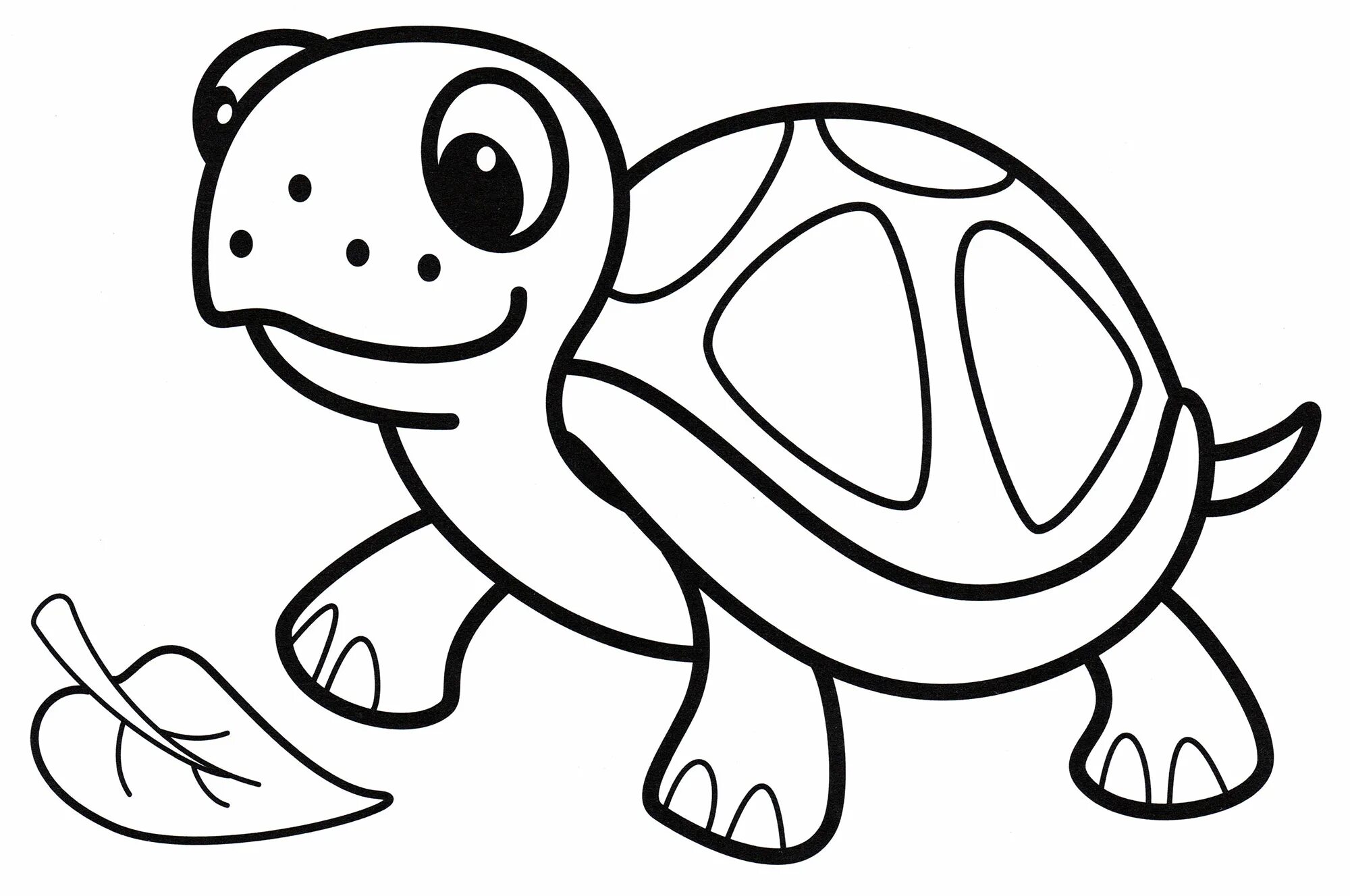 For children tortoise 3 4 yrs #16