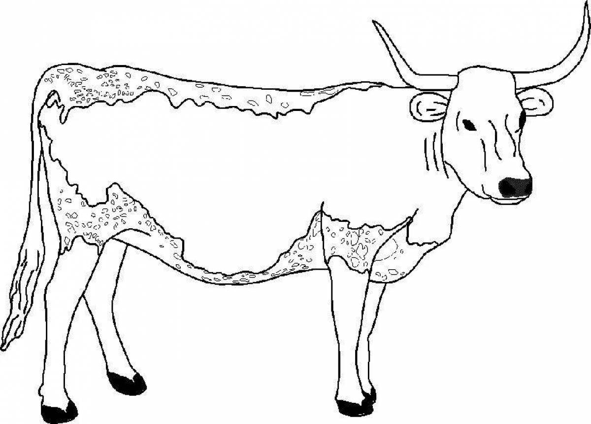 Раскрашивать коров. Раскраска корова. Корова раскраска для детей. Корова рисунок для раскрашивания. Раскраски животные корова.