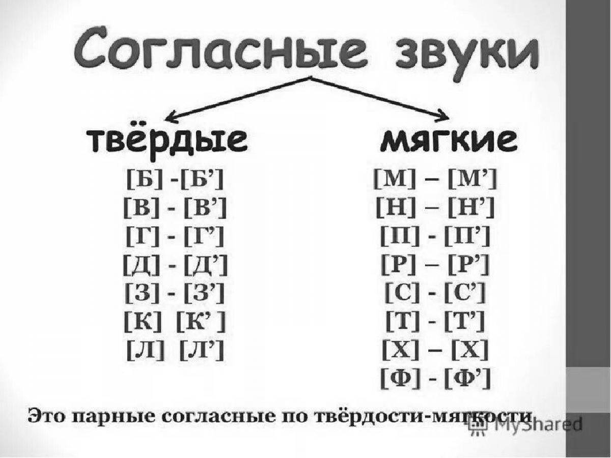 подчеркни мягкие согласные сорока пенал