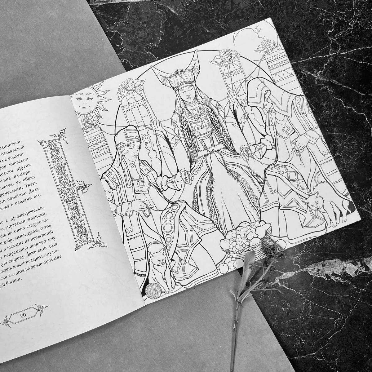 Witch witch coloring book