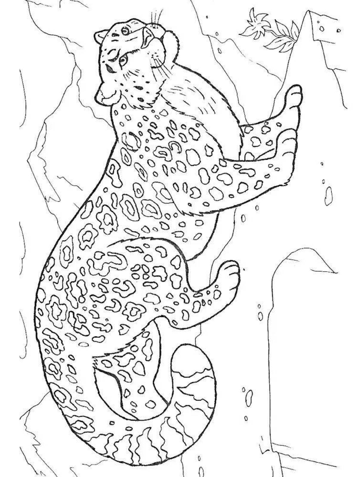 Majestic snow leopard coloring page