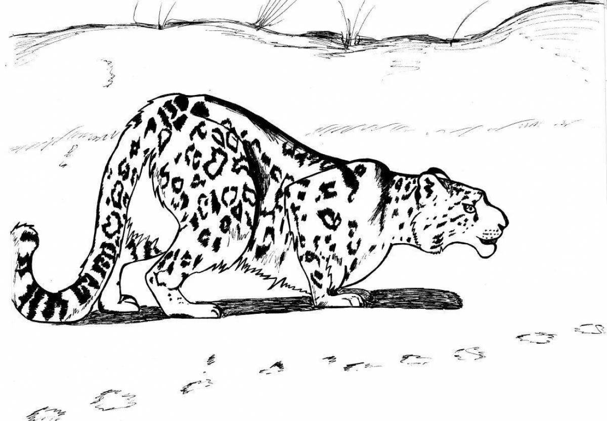 Colouring serene snow leopard