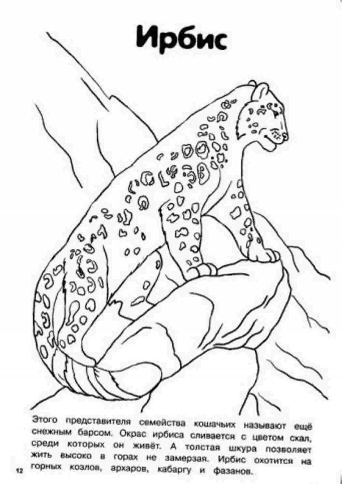 Dazzling snow leopard coloring page