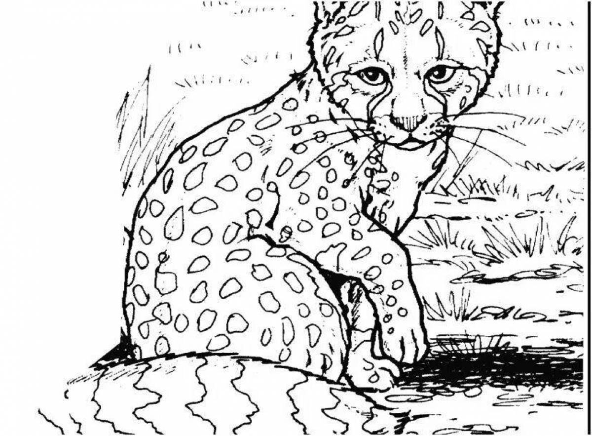 Charming snow leopard coloring book