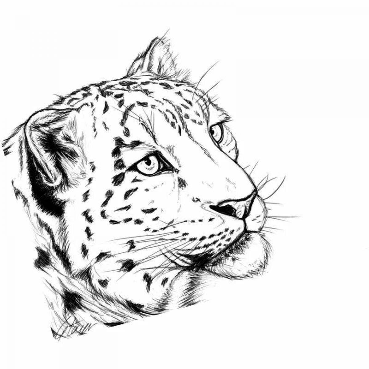 Rampant snow leopard coloring page