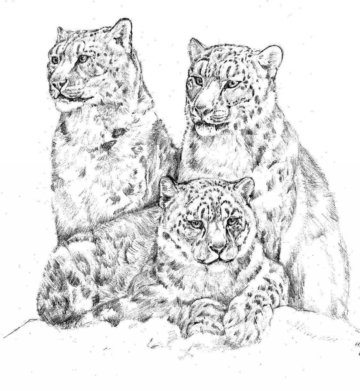Dynamic coloring of the snow leopard
