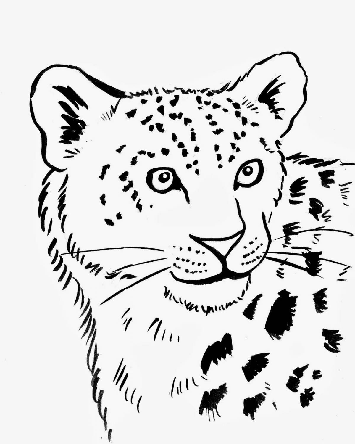 Generous snow leopard coloring page