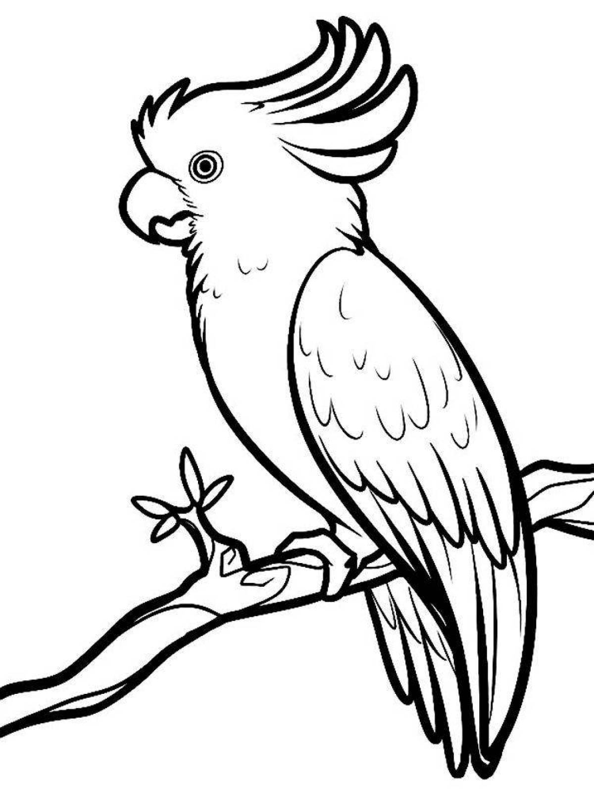 Adorable cockatoo coloring page