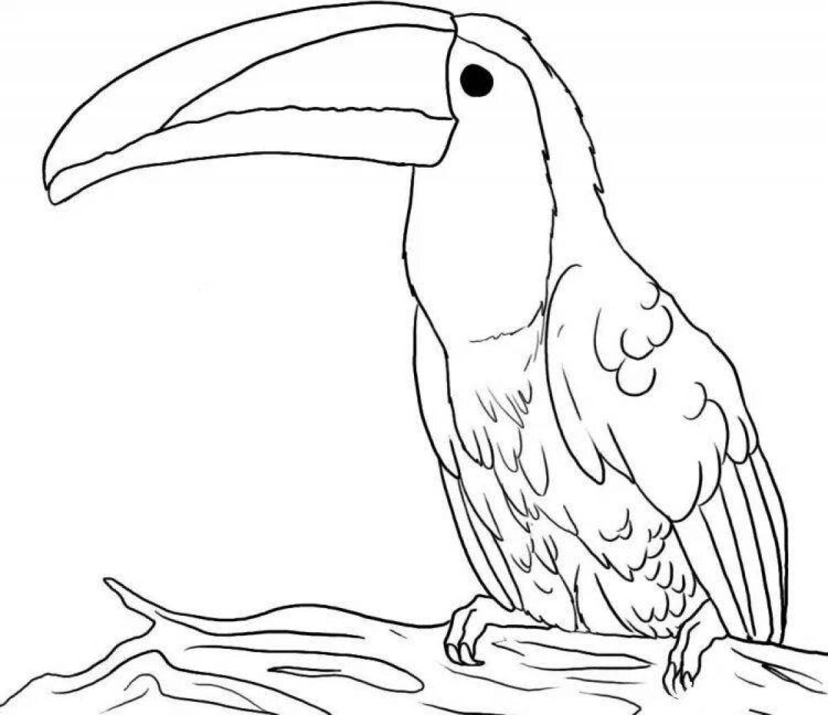 Glorious cockatoo coloring page