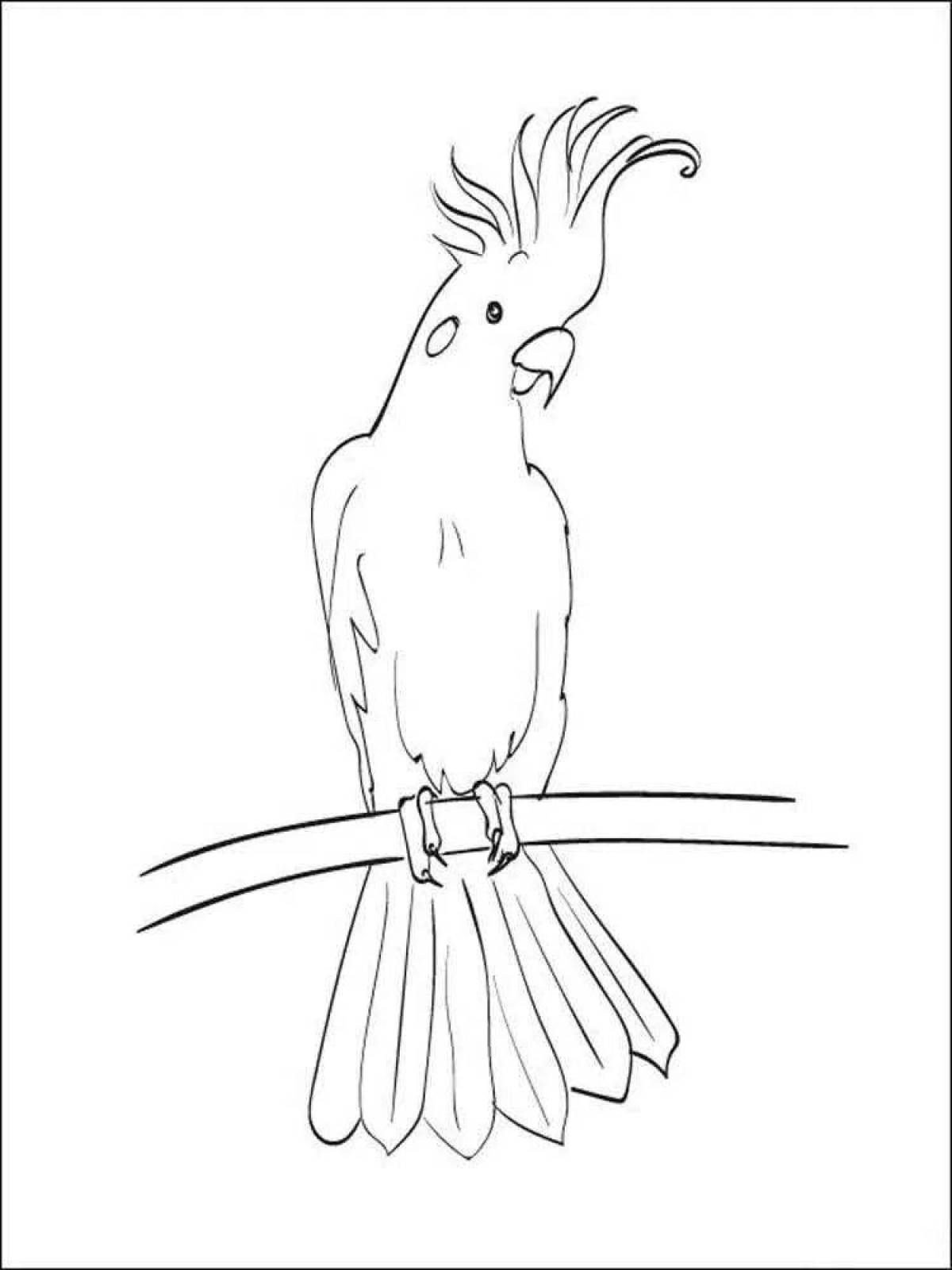 Fabulous cockatoo coloring page