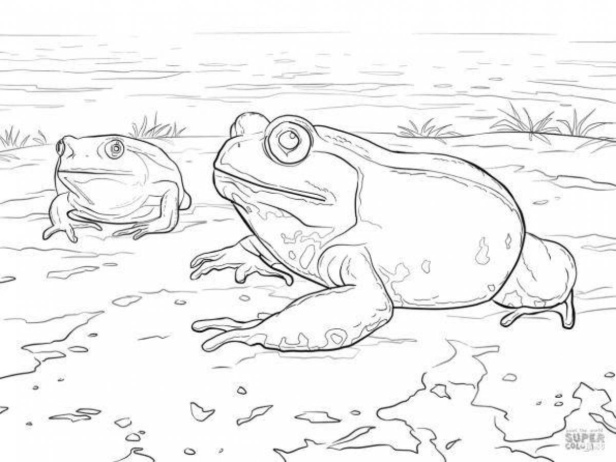 Impressive amphibian coloring page