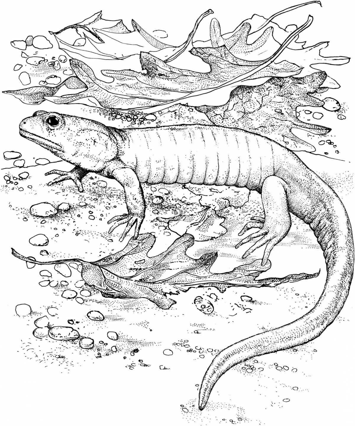Great amphibian coloring page