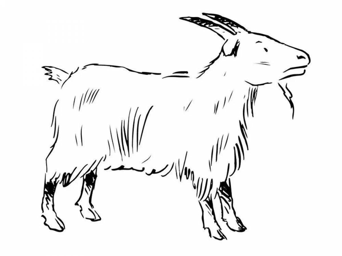 Величественная раскраска коза