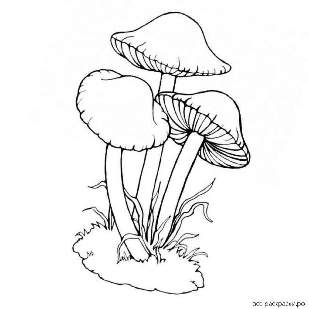 Colorful honey mushroom coloring page