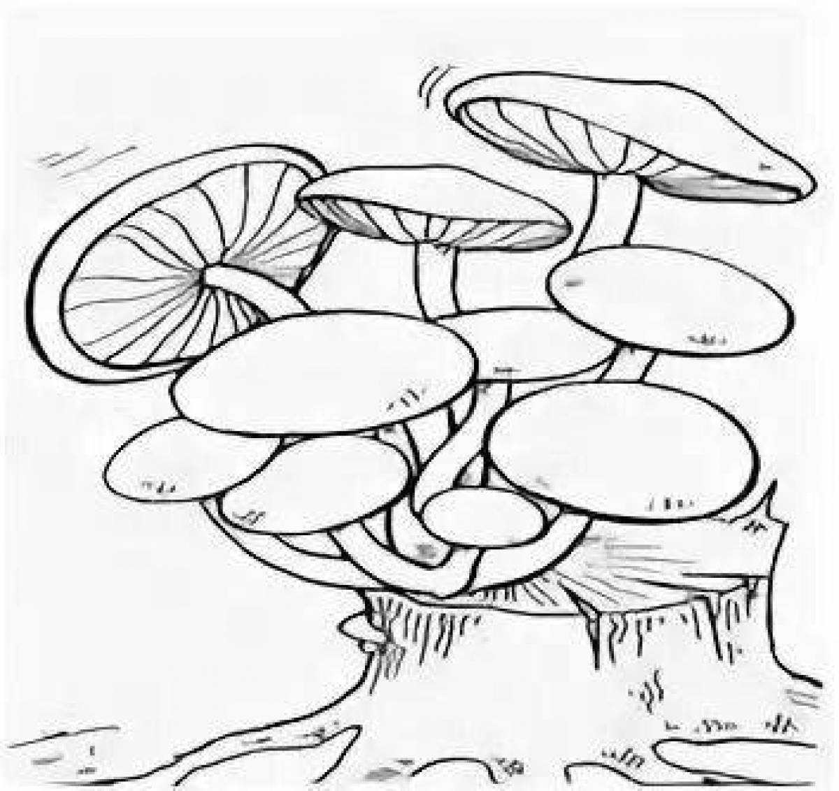Sparkling honey mushroom coloring book