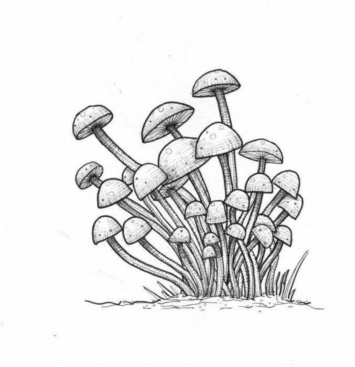 Honey mushroom coloring book