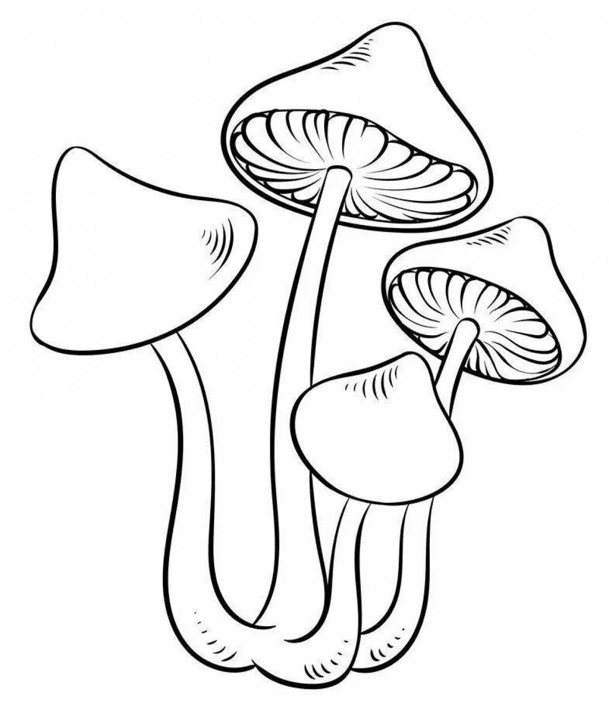 Fat honey mushroom coloring page