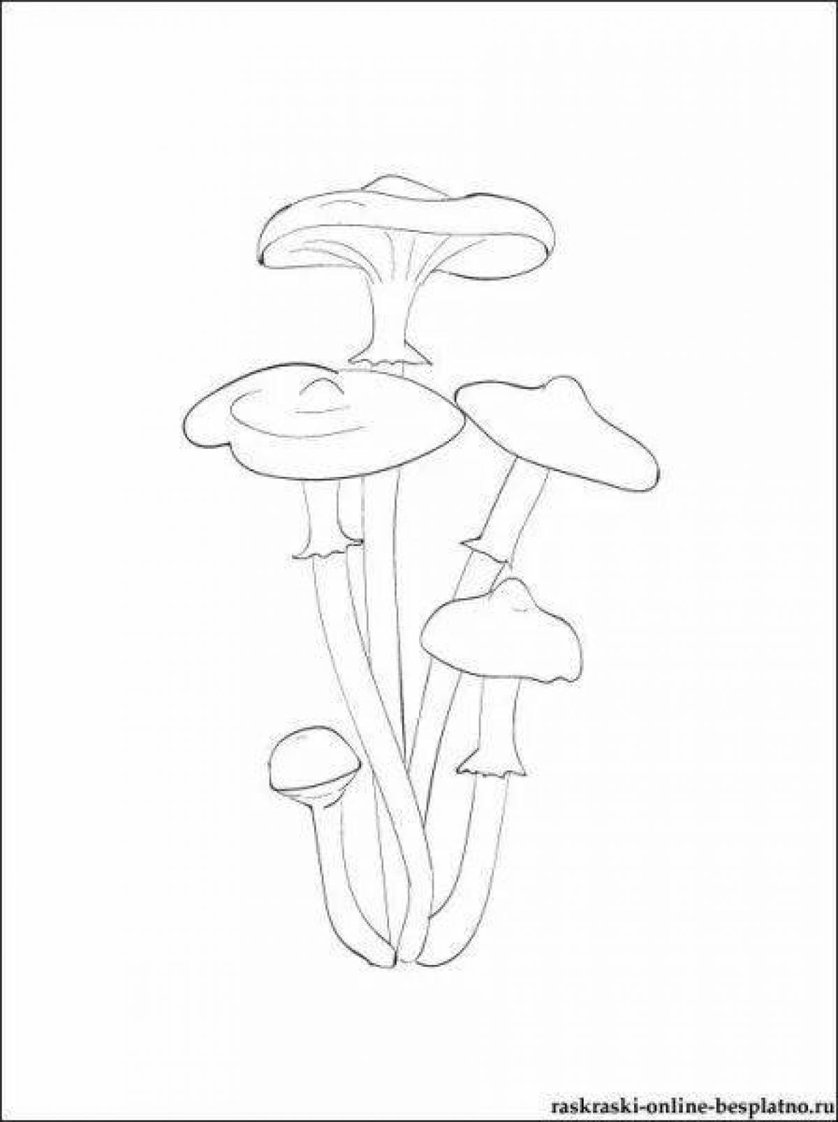 Beautiful honey mushroom coloring page