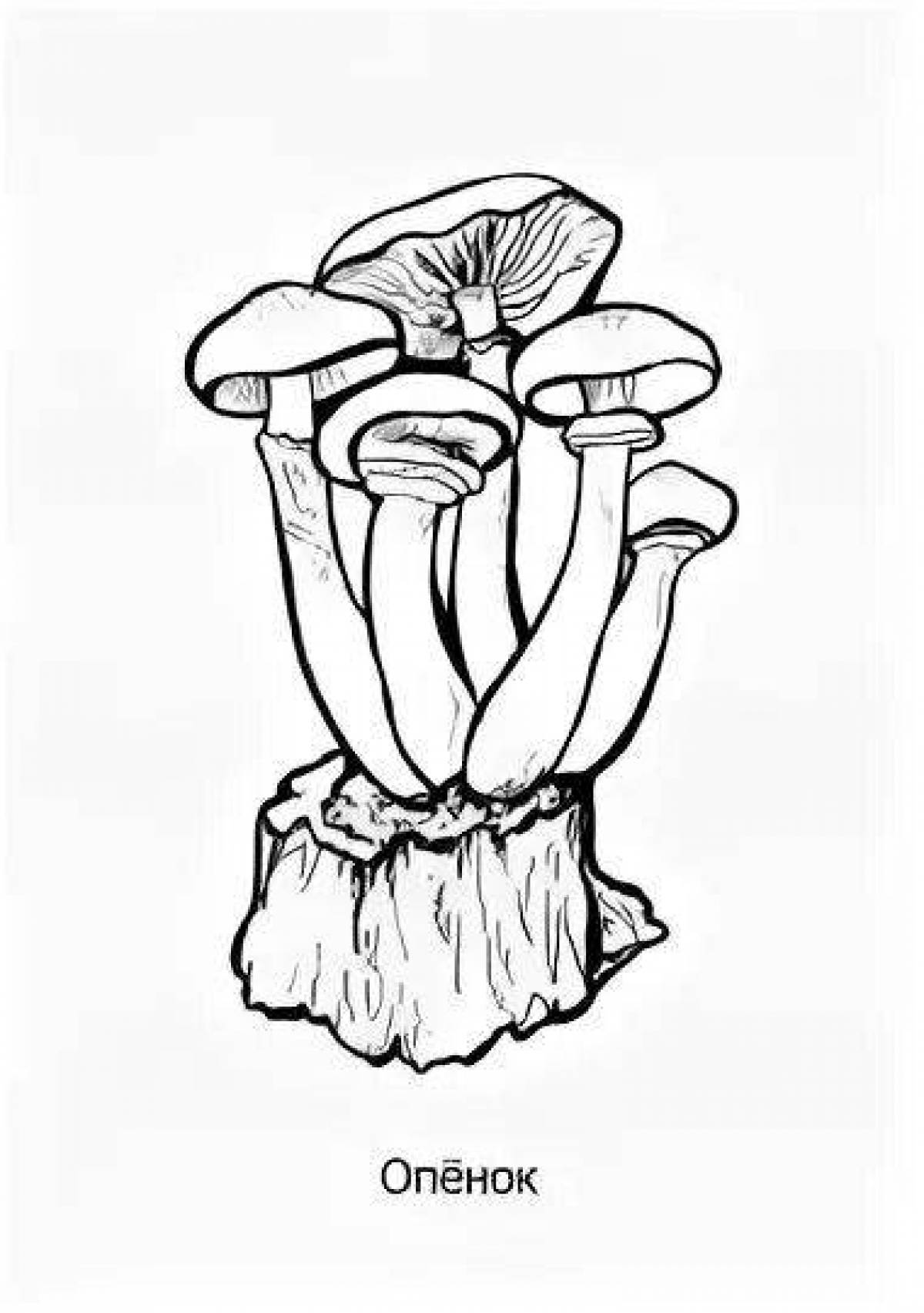 Mysterious honey mushroom coloring page