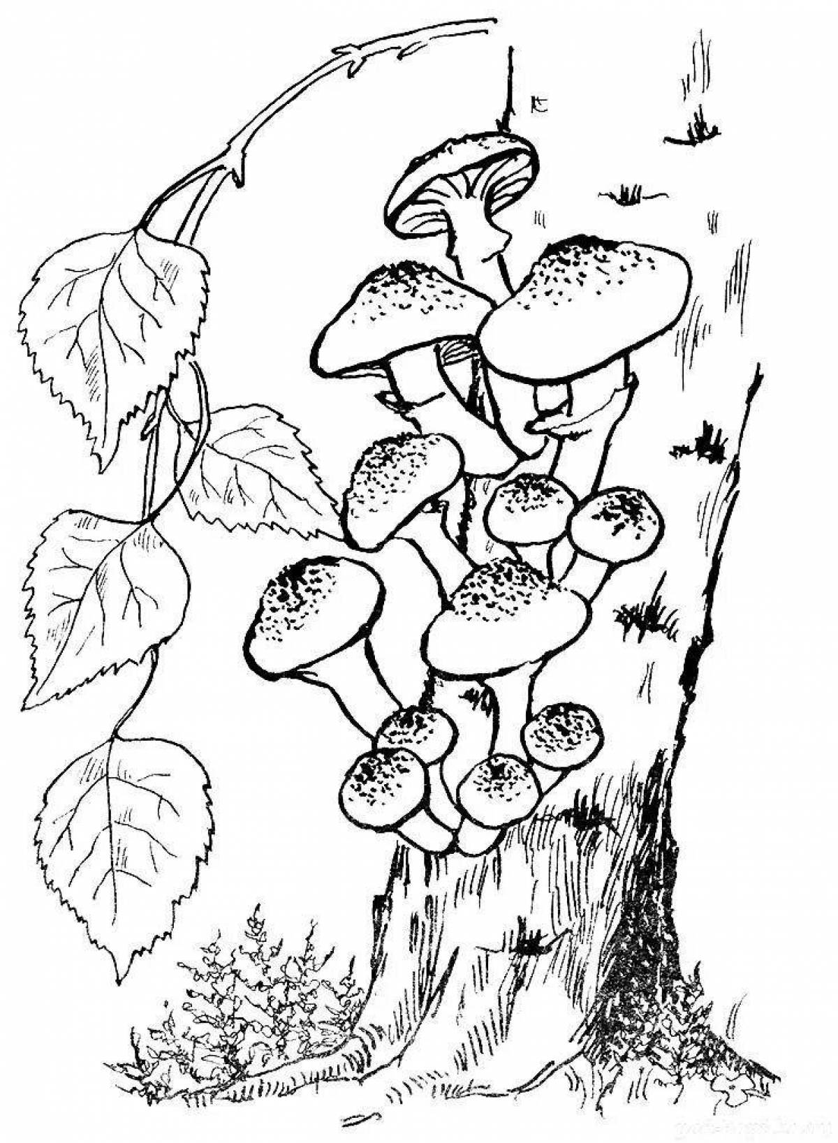 Coloring peaceful honey mushroom