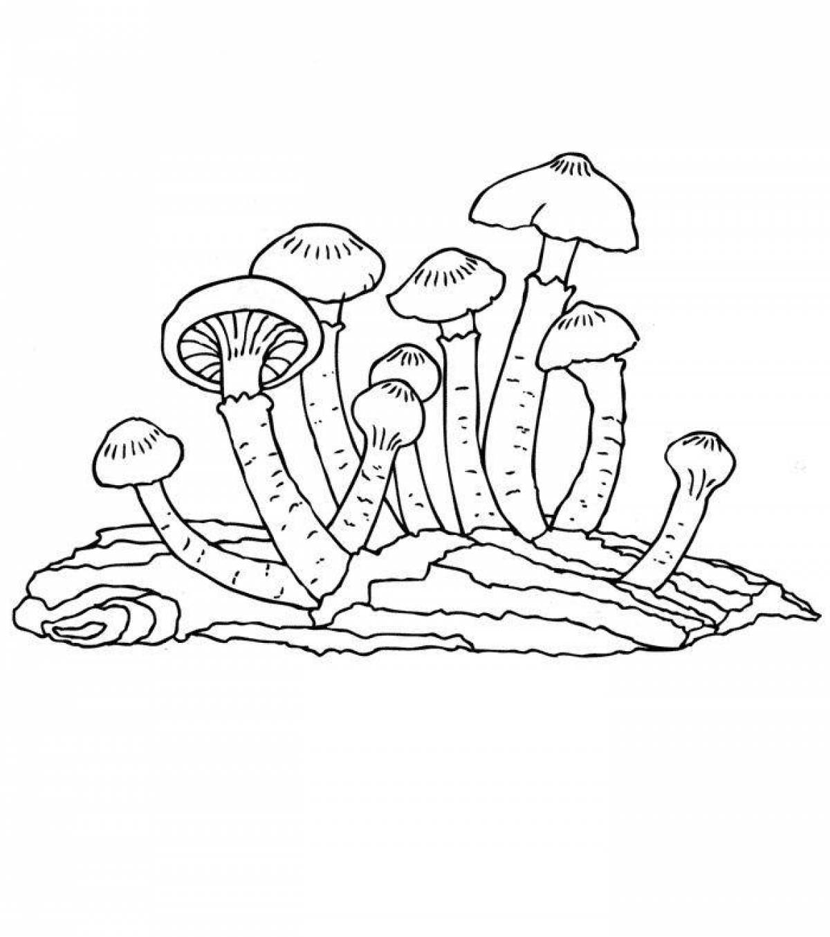 Holiday honey mushroom coloring page