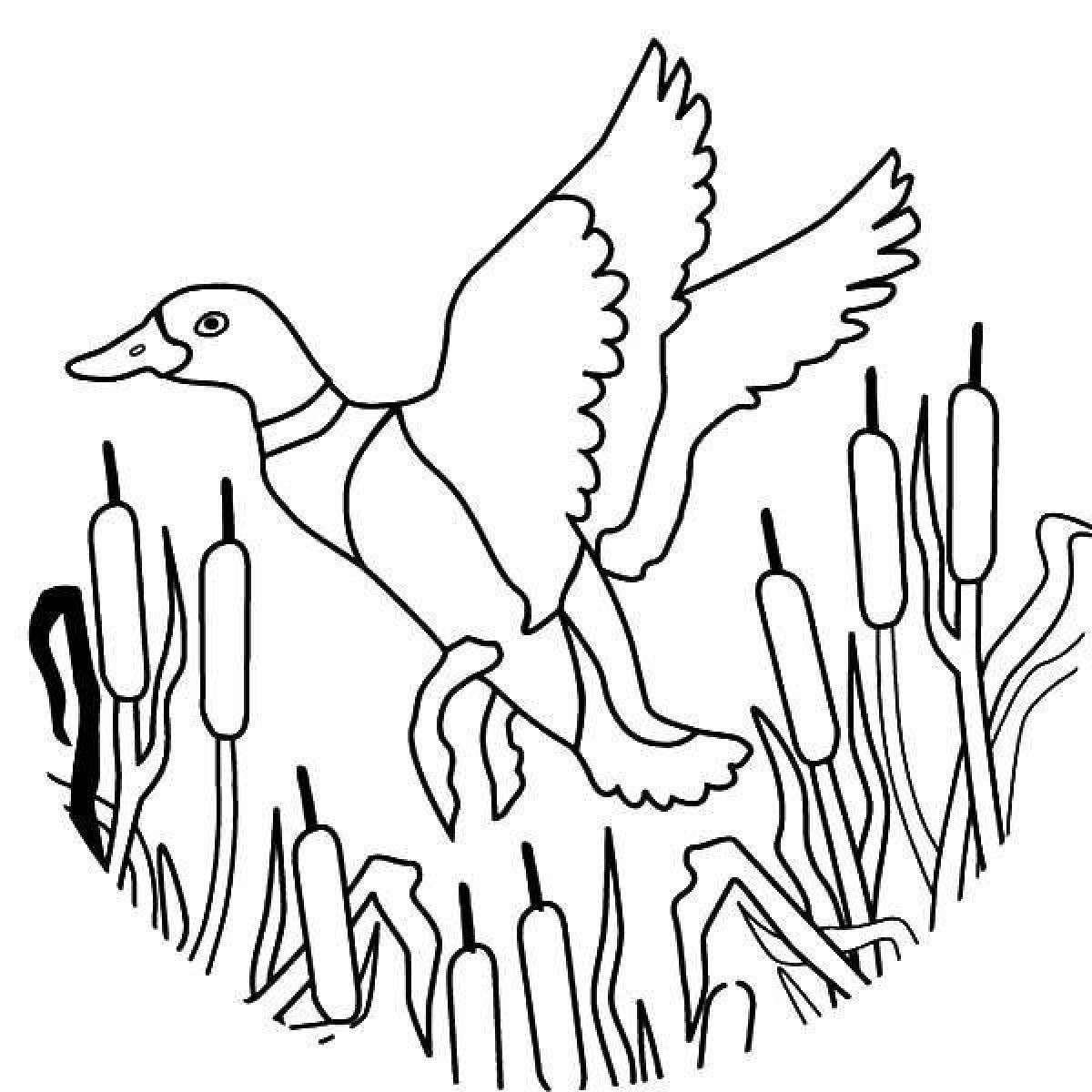 Exotic hunting coloring page