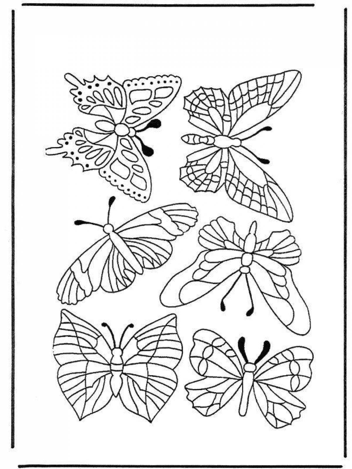 бабочки раскраска много