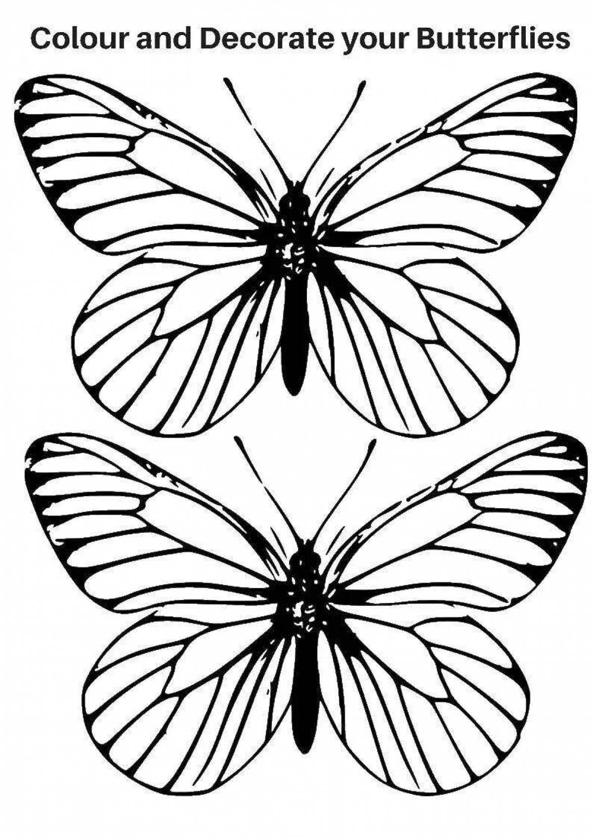 Две бабочки контуры