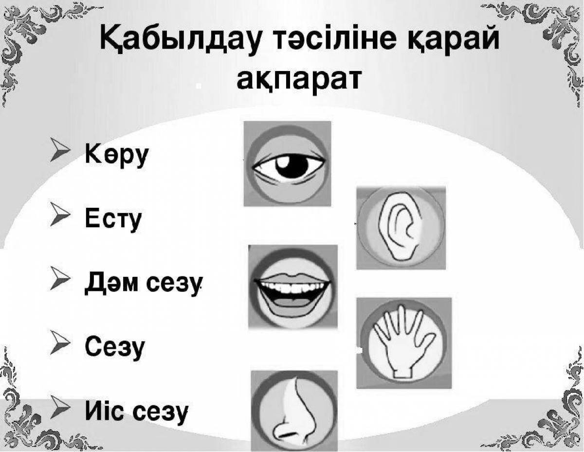 Раскраски Дене мүшелері (29 шт.) - скачать или распечатать бесплатно #8211