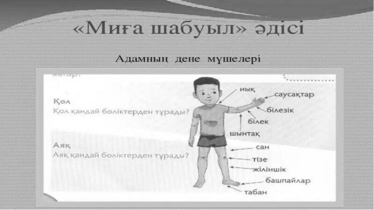 Раскраски Дене мүшелері (29 шт.) - скачать или распечатать бесплатно #8211