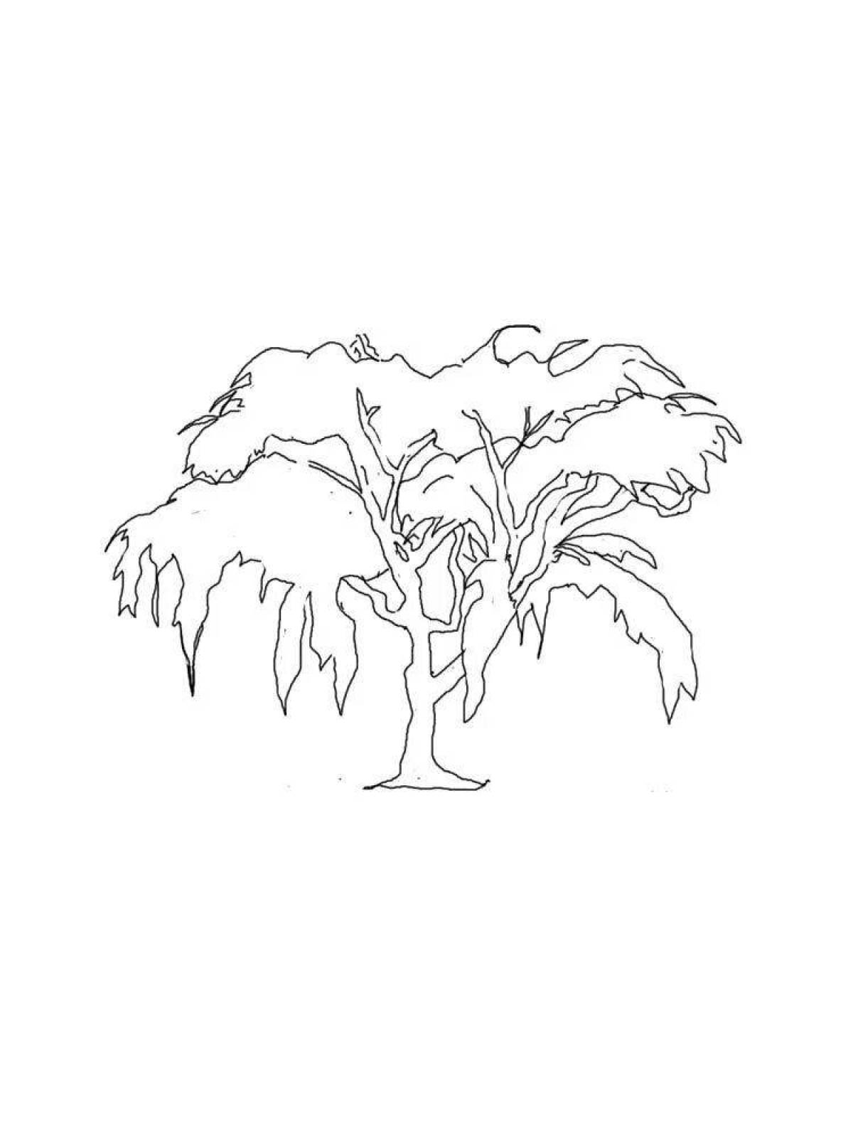 Playful willow coloring page