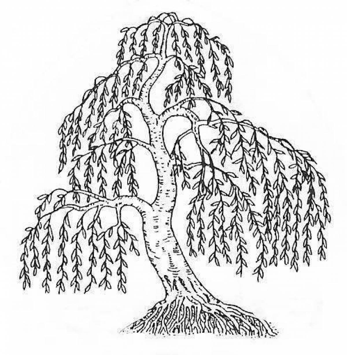 Exquisite willow coloring page