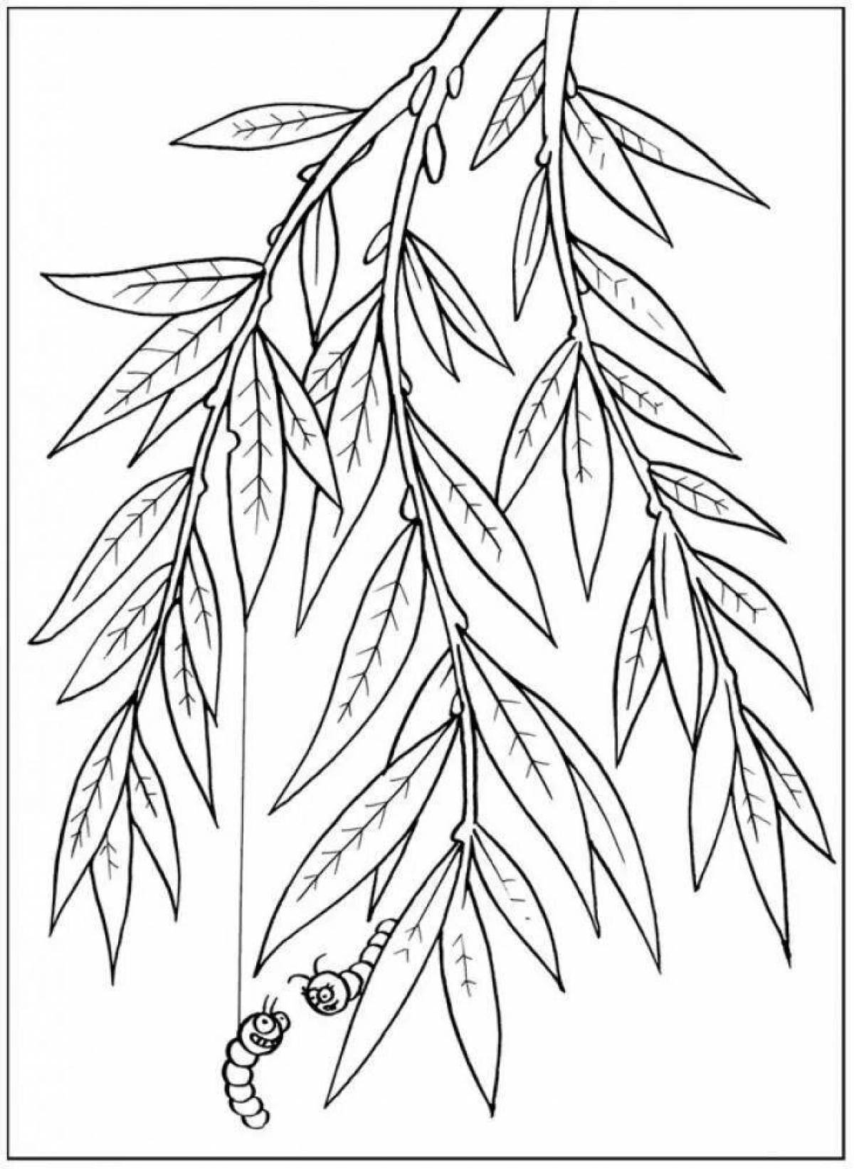 Glitter willow coloring page