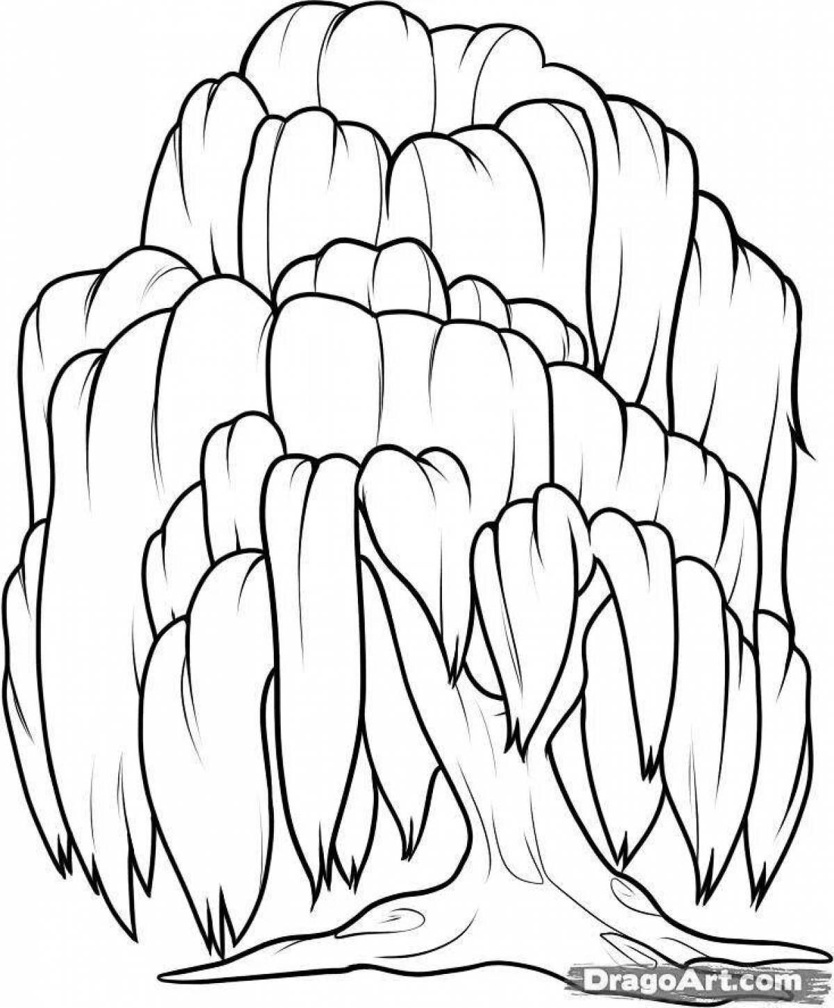 Blooming willow coloring page