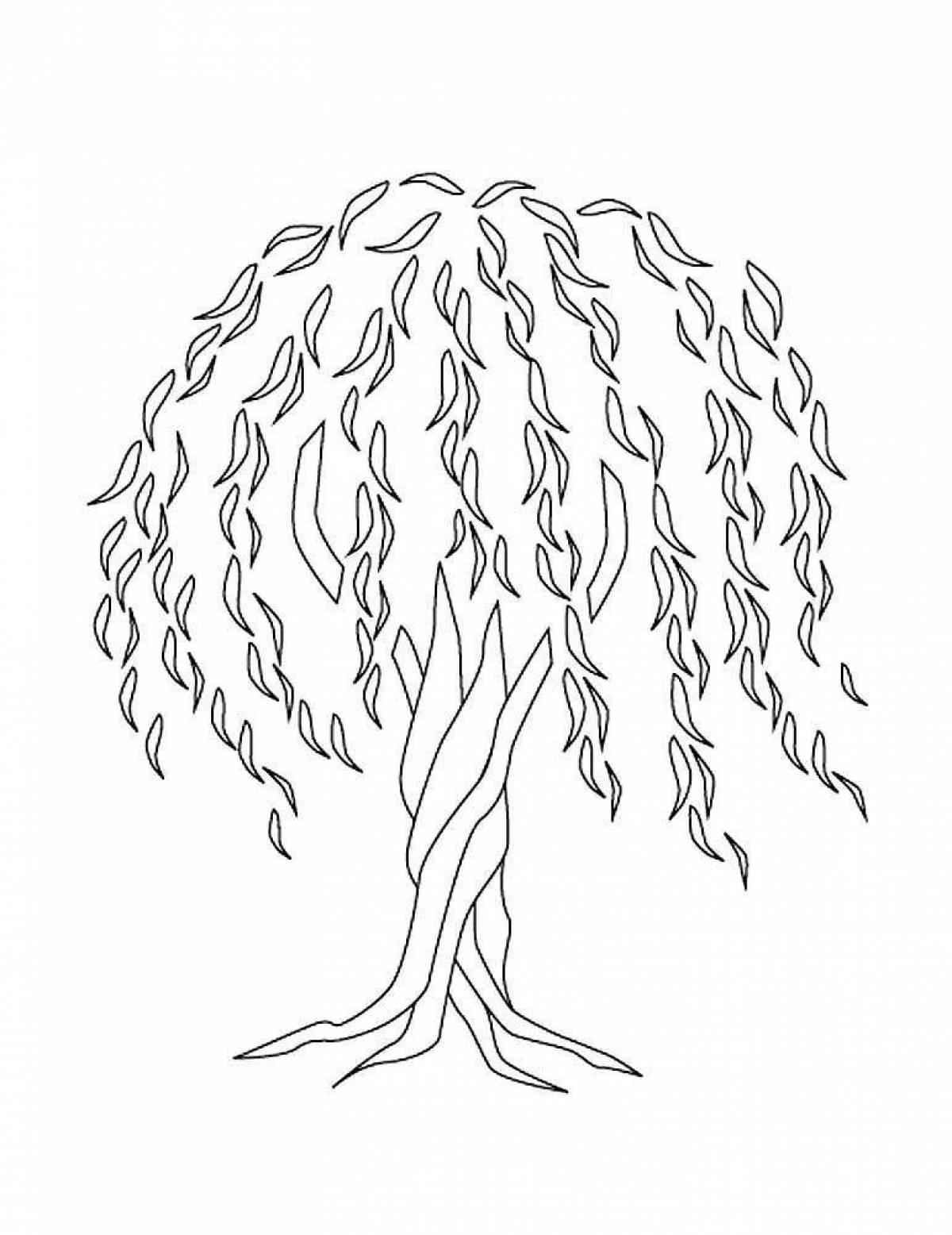 Gorgeous willow coloring page