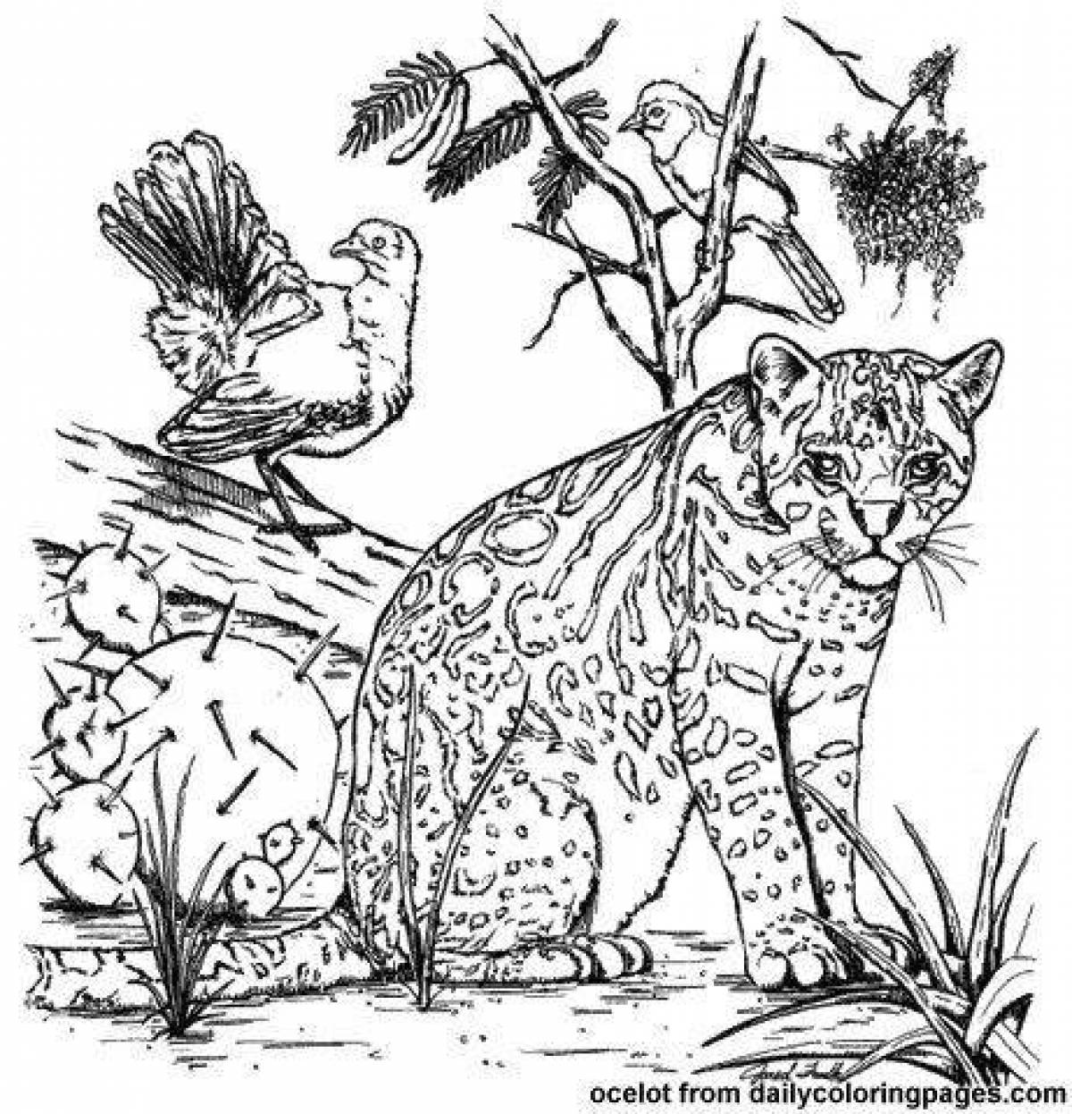 Exotic ocelot coloring page