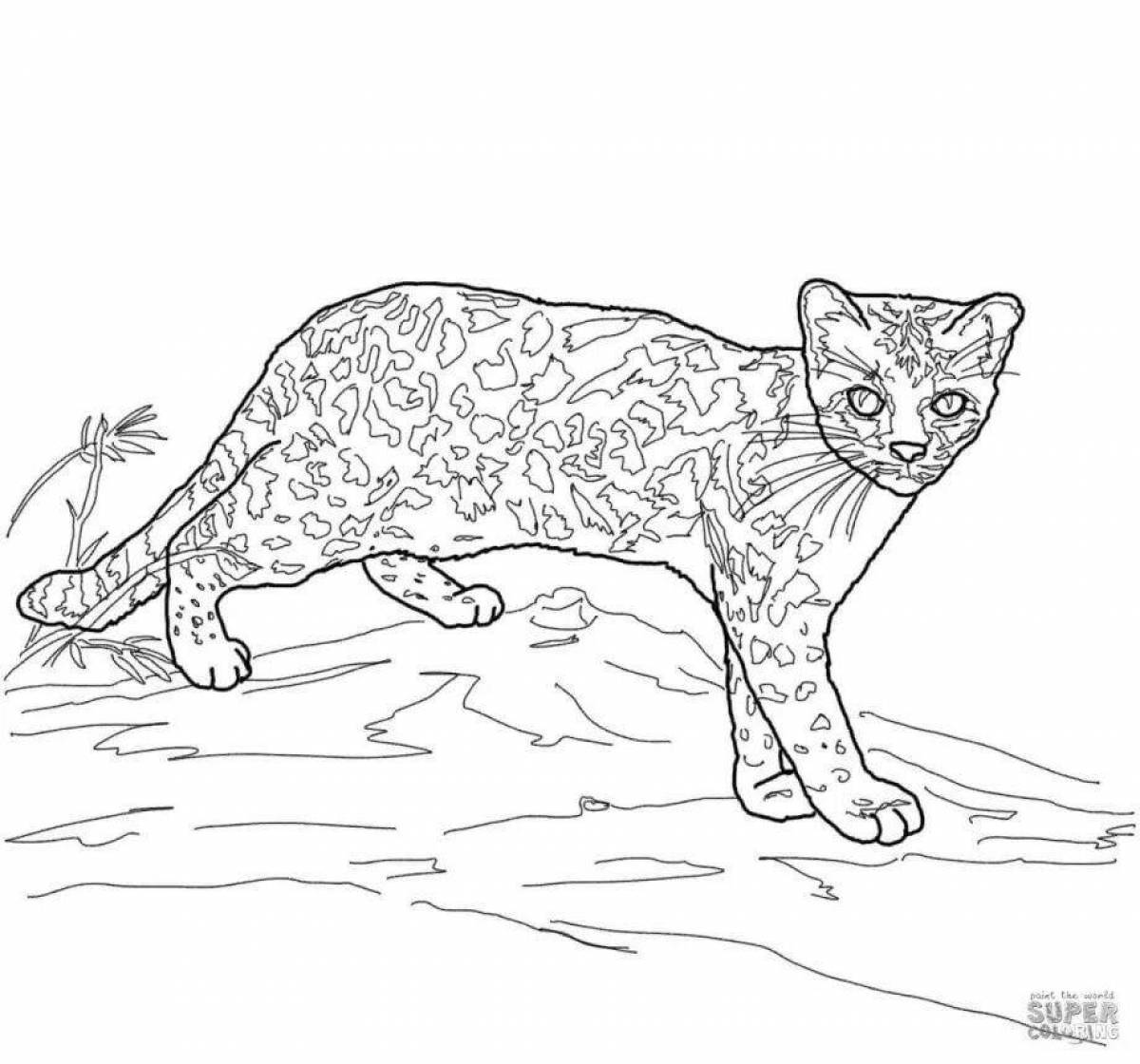Colorful ocelot coloring book